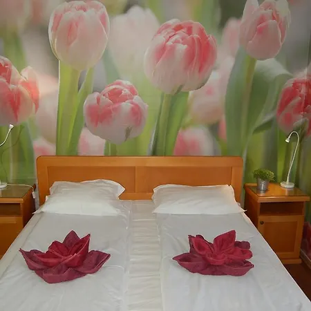 Kniaz Boris 소피아