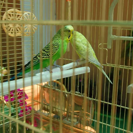 Kniaz Boris 2* Sófia