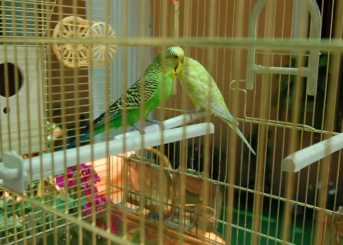 Kniaz Boris 2* Sofia